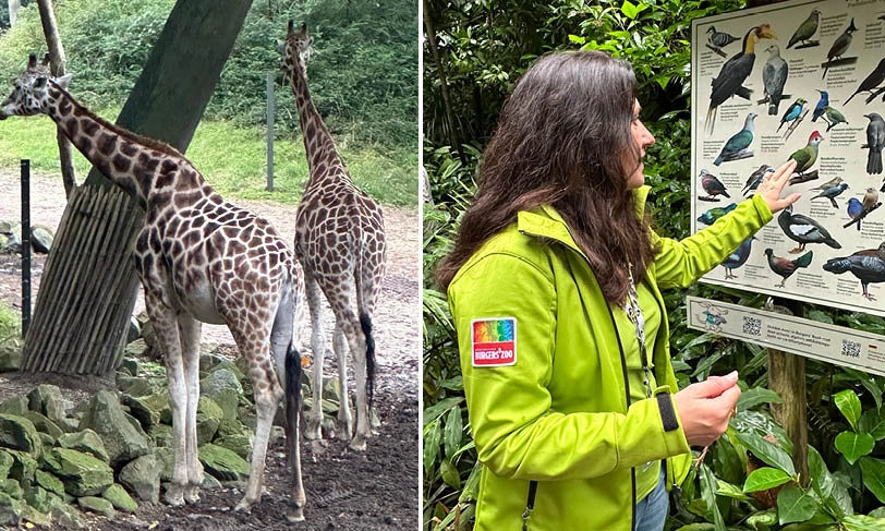 Gids in Burgers Zoo