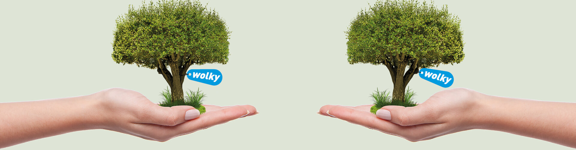 Bomen planten met Wolky's green friday